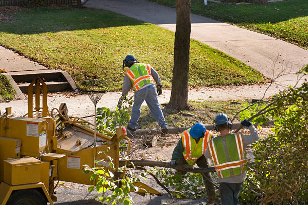 Best Lawn Pest Prevention  in Early, TX